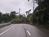アーパス線  道路法面崩壊